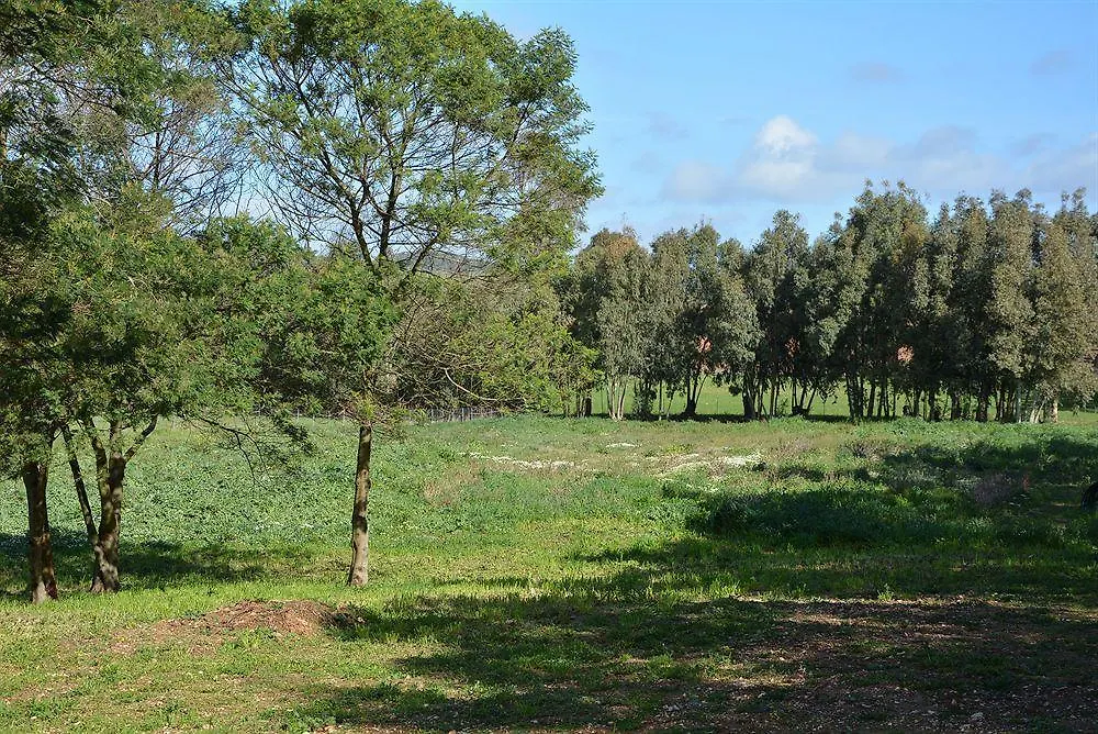 Agriturismo Sa Murta In Sennariolo-Oristano 0*, Sennariolo